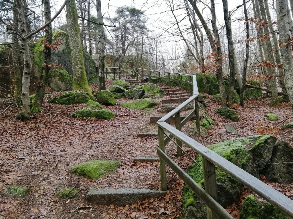 Schöner Ruheforst mit Treppen und Geländer nach oben. Der Himmel ist bewölkt und überall liegt Laub.